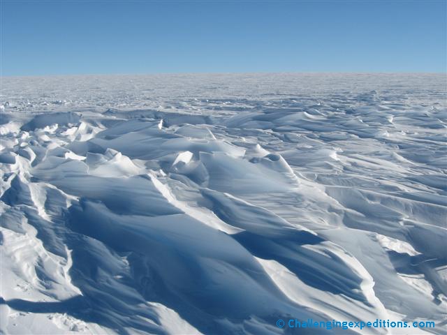 antarctica 2008